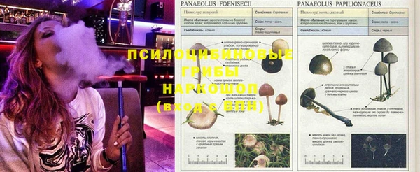 кокаин перу Абинск