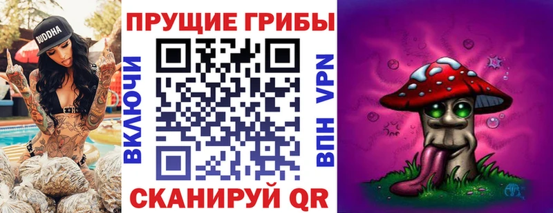 Галлюциногенные грибы мицелий  Спас-Клепики 