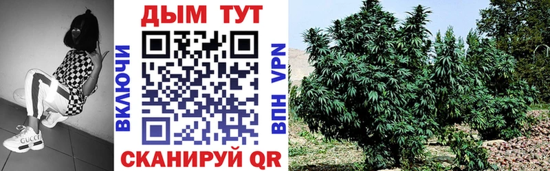 shop какой сайт  Спас-Клепики  omg маркетплейс  Конопля Amnesia  где продают  
